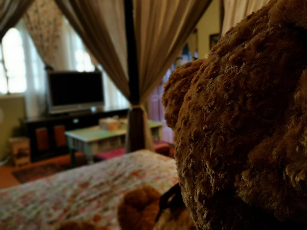 Bearbear Homestay Hualien City Εξωτερικό φωτογραφία