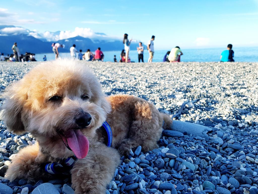 Bearbear Homestay Hualien City Εξωτερικό φωτογραφία