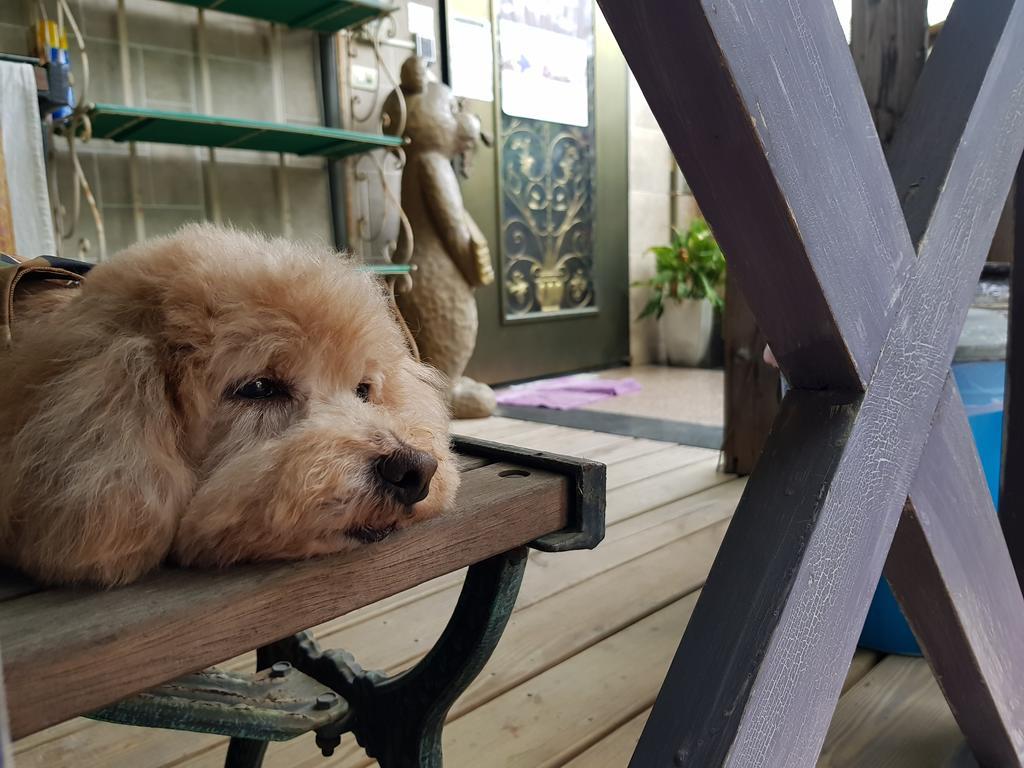 Bearbear Homestay Hualien City Εξωτερικό φωτογραφία